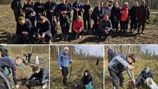 1300 dębów posadzonych przez uczniów ZSZ w Krapkowicach. Młodzież kolejny raz włączyła się w ogólnopolską akcję sadzenia lasu