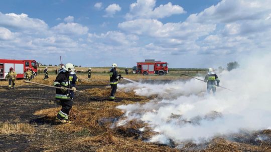 67% więcej pożarów traw! Strażacy z Krapkowic alarmują i apelują o rozsądek