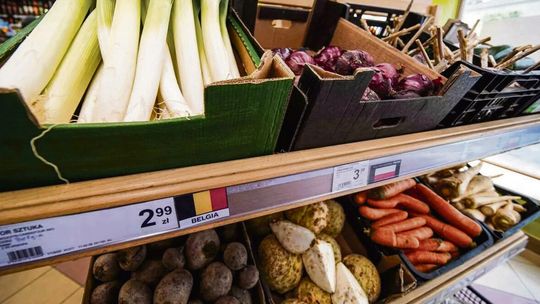 Belgijski por i polska cebula…