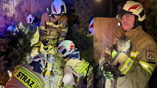 Strażacy OSP KSRG Rogów Opolski podczas akcji ratowania kota ze studzienki burzowej