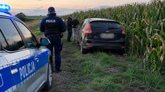 Kradzież w Walcach jak scena z filmu. Pracownik wsiadł do auta sprawcy, ten uciekł w pole kukurydzy