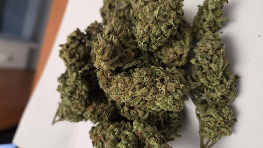 Krapkowice: kryminalni zatrzymali auto. W środku znaleźli narkotyki Policjanci z Krapkowic zabezpieczyli narkotyki podczas kontroli samochodu i przeszukania mieszkań