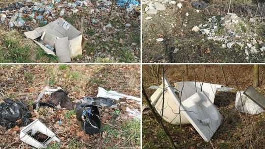 „Ktoś tu regularnie wyrzuca śmieci” - Mieszkańcy alarmują o nielegalnym wyrzucaniu śmieci mimo bliskości PSZOK-u Nielegalnie porzucone odpady wśród drzew i krzewów w Krapkowicach przy ulicy Limanowskiego.