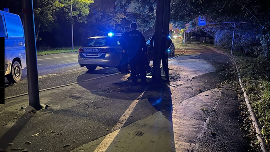 Makabryczne zabójstwo kobiety w lesie w sąsiednim powiecie