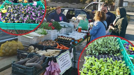 Na Placu Eichendorffa zapachnie wiosną i regionalnymi smakami