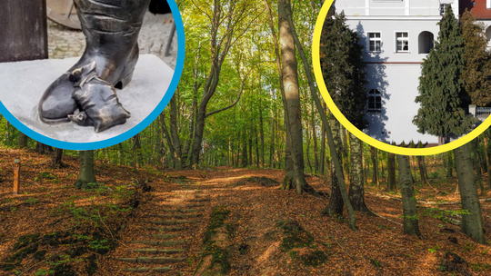 Najlepsze miejsca na spacer w powiecie krapkowickim i bliskiej okolicy Malownicza ścieżka spacerowa w Parku Krajobrazowym Góra Świętej Anny w powiecie krapkowickim