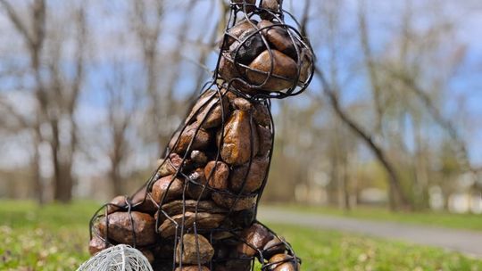 Rzeźba dużego zająca w Parku Miejskim w Otmęcie w Krapkowicach ustawiona przy wejściu od ulicy Obuwników.