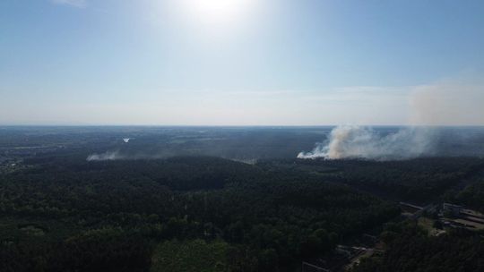 Pożar lasu w sąsiedniej Kłodnicy. W akcji również strażacy z powiatu krapkowickiego