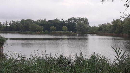 Strażnicy miejscy sprawdzają akweny w gminie Krapkowice. Za kąpiel w zakazanym miejscu grozi mandat