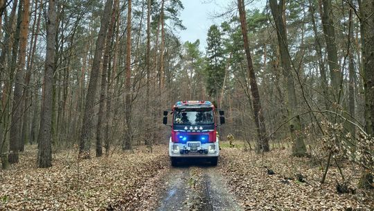 Spalony samochód Fiat Seicento na leśnej drodze między Górażdżami a Chorulą – w środku częściowo zwęglone konary drzewa.