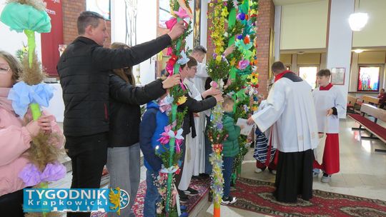 Wysokie palmy wielkanocne przygotowane przez mieszkańców podczas konkursu w Żywocicach w Niedzielę Palmową