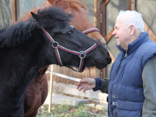 12 lat niewyjaśnionej zbrodni w Zdzieszowicach – kto zabił burmistrza Dietera Przewdzinga? Miejsce zbrodni burmistrza Dietera Przewdzinga w Krępnej, Zdzieszowice – rocznica niewyjaśnionego zabójstwa.