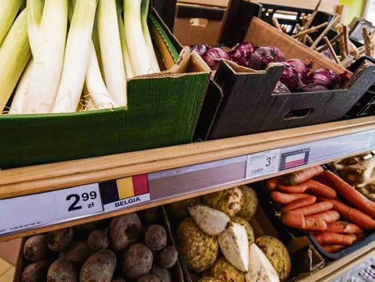 Belgijski por i polska cebula…