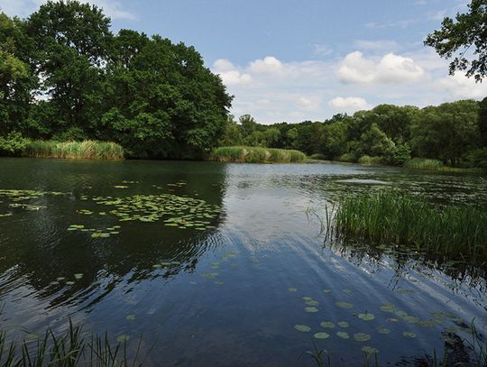 Co to właściwie Obszar Natura 2000?