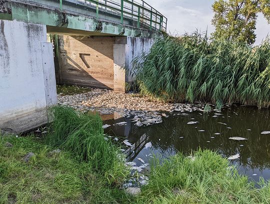 Dlaczego wciąż dochodzi  do katastrof ekologicznych?