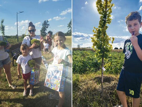 Dzieci z Ściborowic nadają imiona nowo posadzonym drzewom w alei, widoczne tabliczki z imionami
