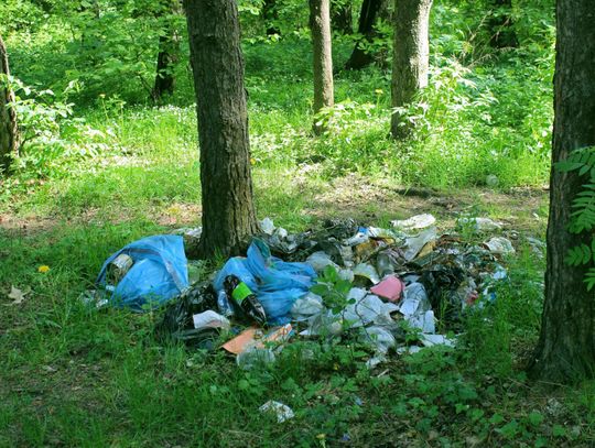 Sterta odpadów porzucona w lesie – przykład dzikiego wysypiska w Polsce