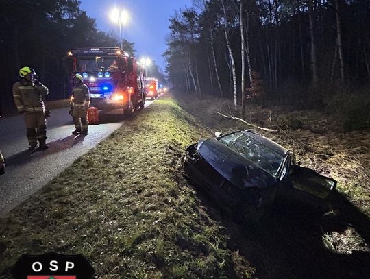 Straż pożarna i policja na miejscu zderzenia samochodu z dziką zwierzyną na DW 414