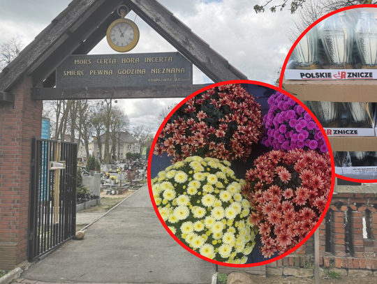 Inflacja dotarła na cmentarze: Wszystkich Świętych jeszcze droższe