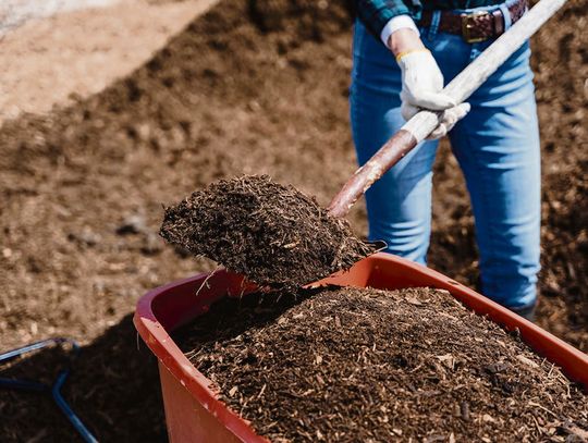 Kompostowanie jako forma recyklingu