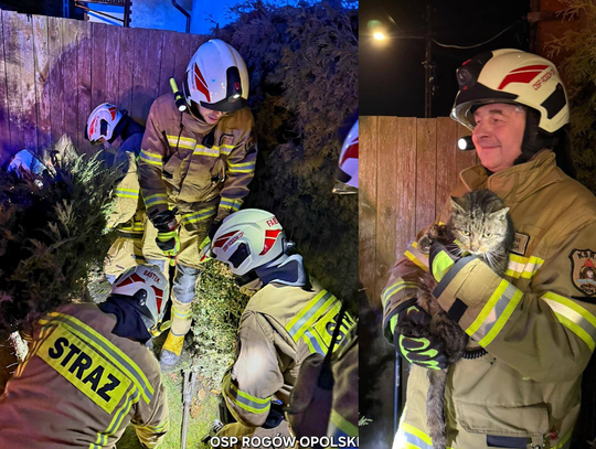 Strażacy OSP KSRG Rogów Opolski podczas akcji ratowania kota ze studzienki burzowej