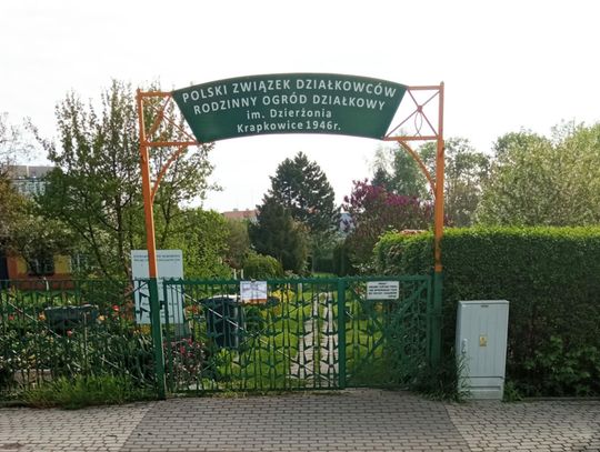 Rodzinne Ogrody Działkowe w Krapkowicach wyróżnione odznaką „Zasłużony dla Miasta i Gminy Krapkowice”
