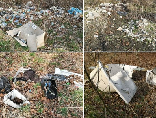 „Ktoś tu regularnie wyrzuca śmieci” - Mieszkańcy alarmują o nielegalnym wyrzucaniu śmieci mimo bliskości PSZOK-u Nielegalnie porzucone odpady wśród drzew i krzewów w Krapkowicach przy ulicy Limanowskiego.