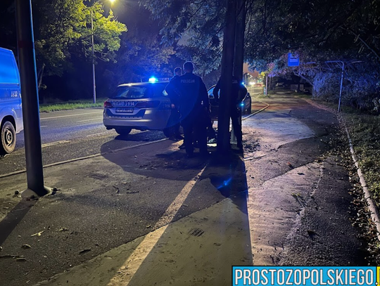 Makabryczne zabójstwo kobiety w lesie w sąsiednim powiecie