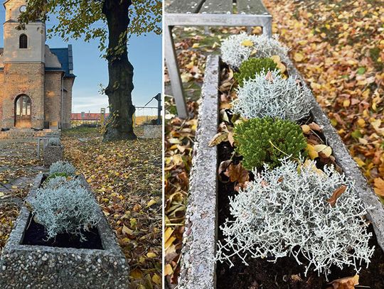 Mieszkańcy wspólnie dbają o piękno miejscowości