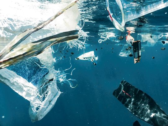 Mikroplastik – gigaproblem. Oto, dlaczego niewielkie odpady zagrażają przyrodzie