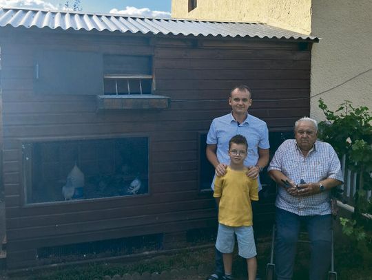 Młode gołębie pocztowe wystartowały
