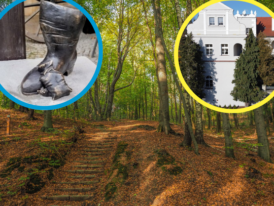 Malownicza ścieżka spacerowa w Parku Krajobrazowym Góra Świętej Anny w powiecie krapkowickim