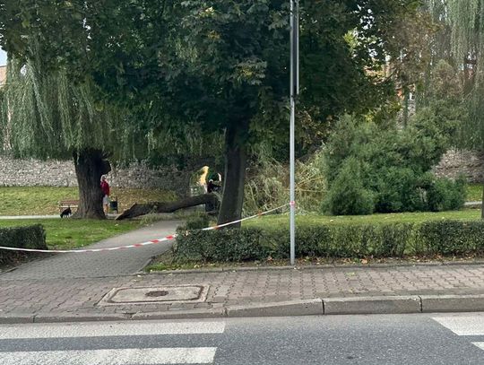 Niebezpieczne zdarzenie nieopodal murów obronnych w centrum miasta