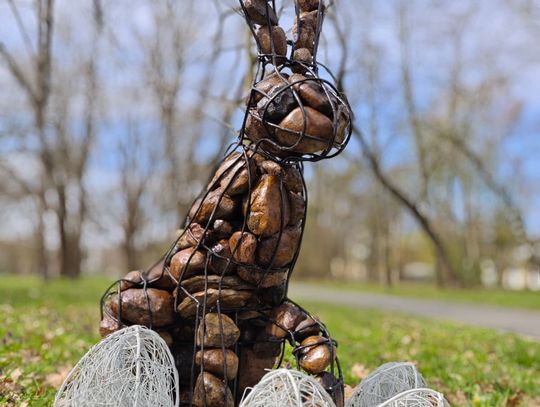 Rzeźba dużego zająca w Parku Miejskim w Otmęcie w Krapkowicach ustawiona przy wejściu od ulicy Obuwników.