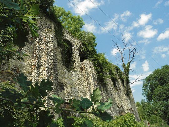 Opowieść o zamku Templariuszy w Zakrzowie