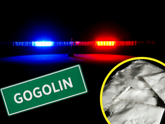 Policjanci podczas interwencji związanej z zabezpieczeniem narkotyków w mieszkaniu w Gogolinie.