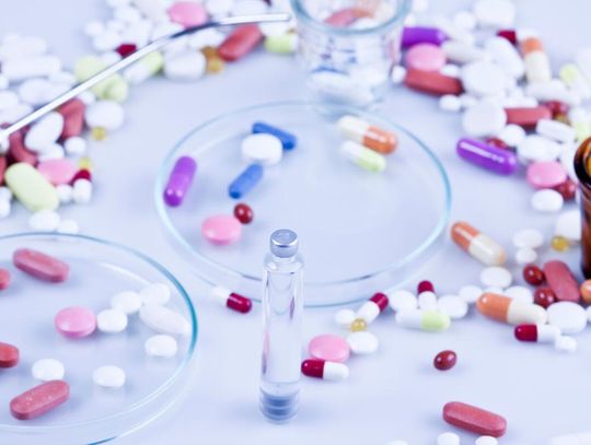 Pre-, Pro- i Post-biotyki – kompleksowe podejście do zdrowia jelit