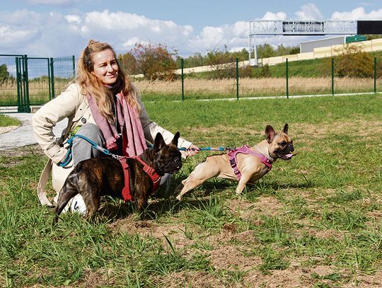 Psi park już dostępny