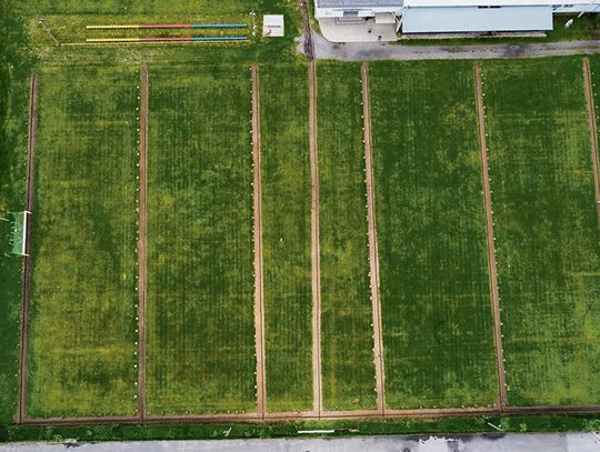 Rąk do pracy nie brakowało