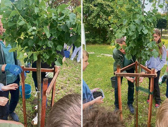 Sadzą drzewa i dbają o środowisko