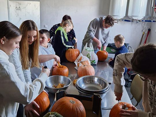 Seniorzy na drodze do zmian.  Jak mieszkańcy Opolszczyzny zamienili doświadczenie w społeczną siłę