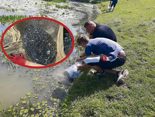 “Stara Odra” w Straduni ma nowych mieszkańców