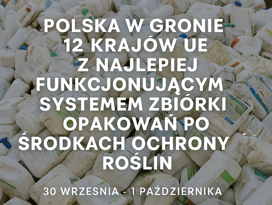 System PSOR wzorem dla innych krajów