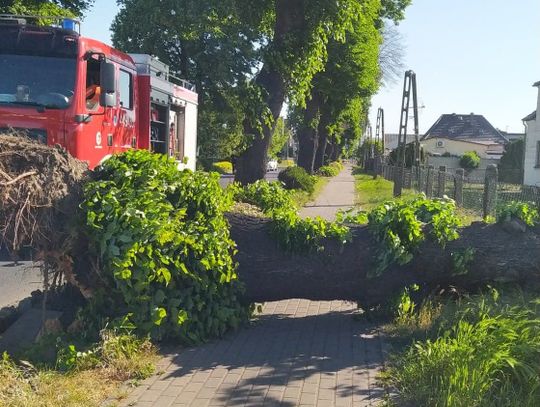 Uwięzieni w barze