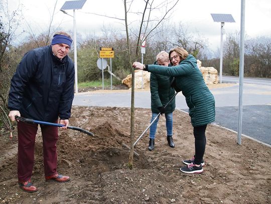 Wielkie sadzenie już trwa