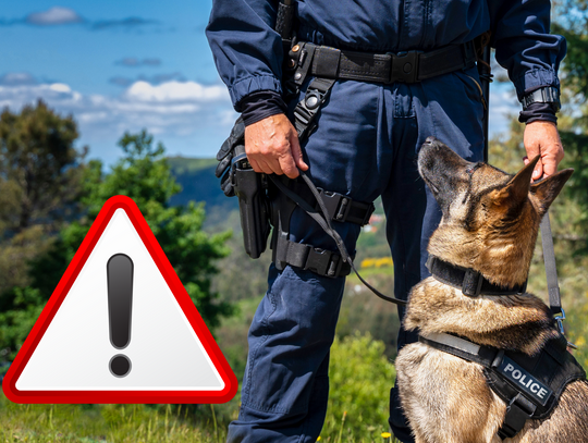 Wpadł po miesiącach ukrywania się! 31-latek ze Strzeleczek zatrzymany przez krapkowickich policjantów Krapkowiccy policjanci zatrzymali poszukiwanego 31-latka w Racławiczkach – akcja Wydziału Kryminalnego KPP Krapkowice