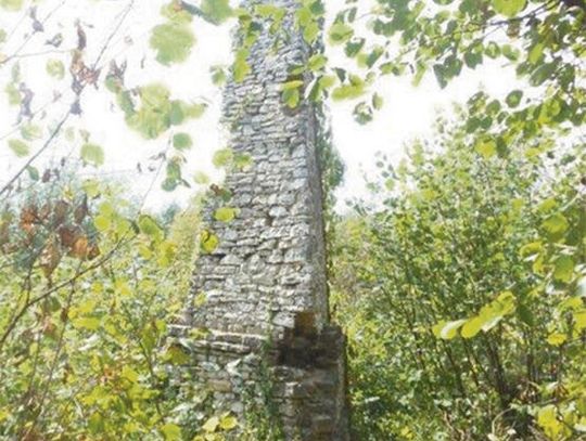 Zakrzowska szpica będzie rezerwatem?