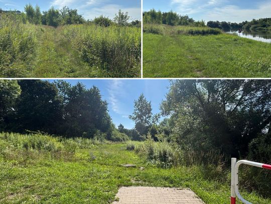 Zarośnięta ścieżka wzdłuż Odry. Mieszkańcy Krapkowic czekają na porządek