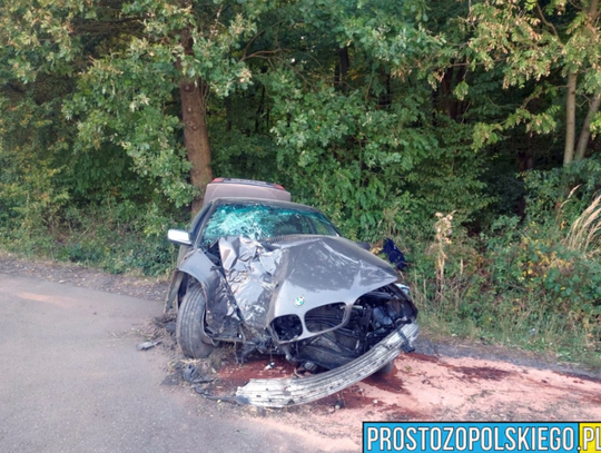 [ZDJĘCIA] BMW uderzyło w drzewo w Kamionku. Kierowca trafił pod opiekę ratowników