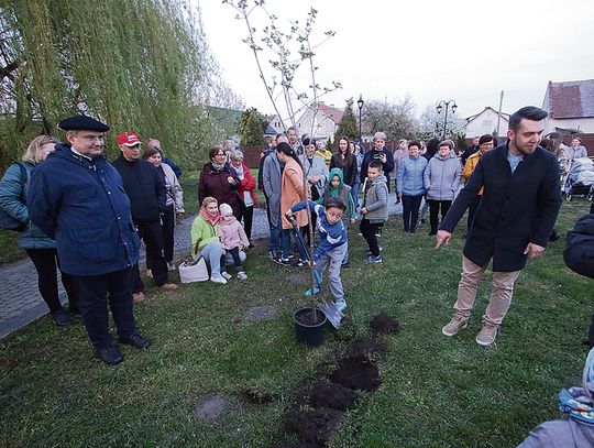 [Zdjęcia] Lasery, fontanny i drzewo przyjaźni